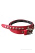 Cosmo Women Casual Multicolor Artificial Leather Belt(rb-red-blk)